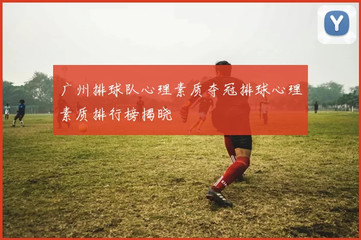 广州排球队心理素质夺冠排球心理素质排行榜揭晓