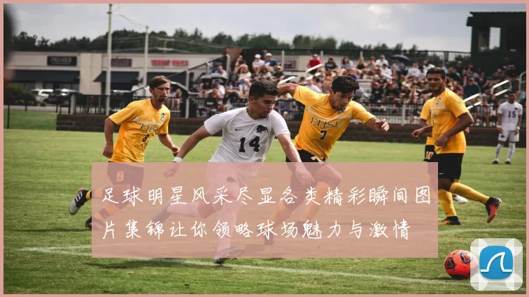 足球明星风采尽显各类精彩瞬间图片集锦让你领略球场魅力与激情