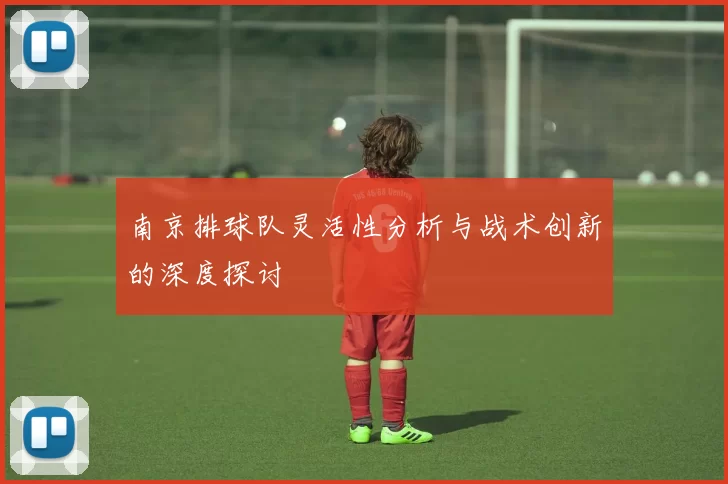南京排球队灵活性分析与战术创新的深度探讨
