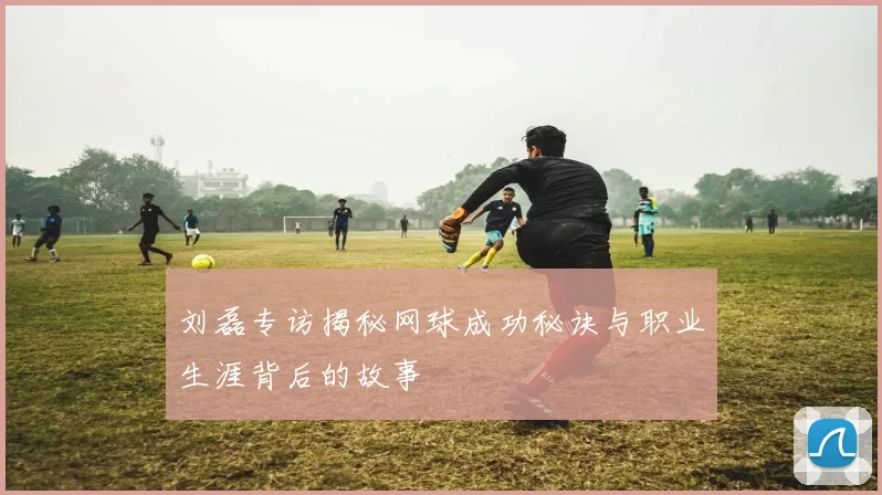 刘磊专访揭秘网球成功秘诀与职业生涯背后的故事