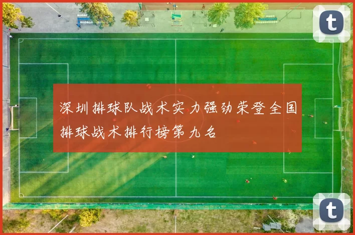 深圳排球队战术实力强劲荣登全国排球战术排行榜第九名
