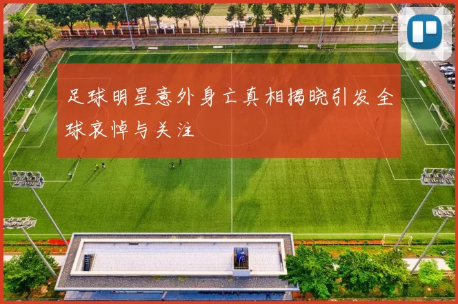 足球明星意外身亡真相揭晓引发全球哀悼与关注