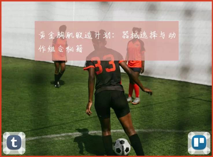 黄金胸肌锻造计划：器械选择与动作组合秘籍