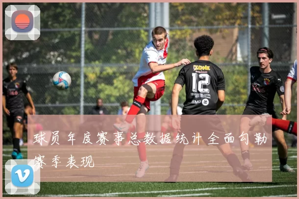 球员年度赛事总数据统计全面勾勒赛季表现