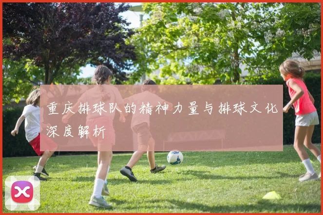 重庆排球队的精神力量与排球文化深度解析