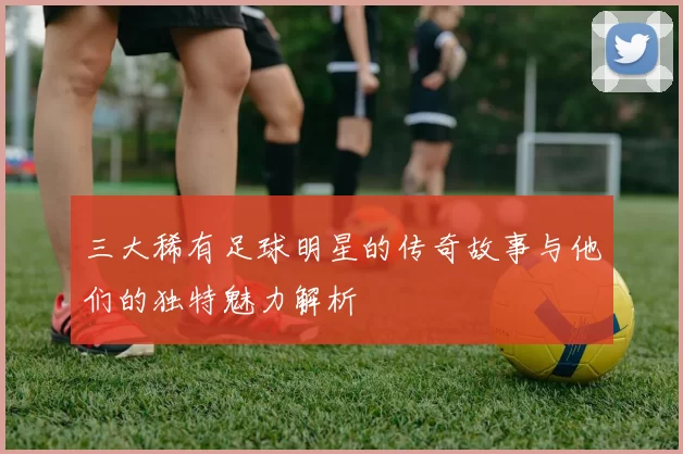 三大稀有足球明星的传奇故事与他们的独特魅力解析