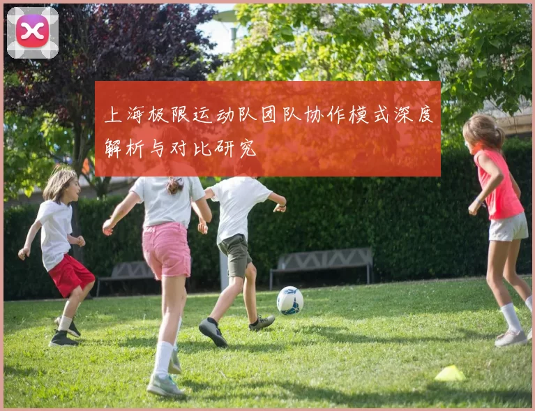 上海极限运动队团队协作模式深度解析与对比研究