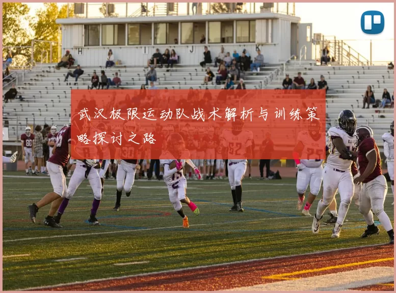 武汉极限运动队战术解析与训练策略探讨之路